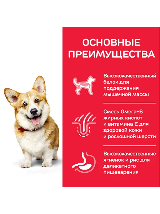 Сухой корм HILL'S Сoбак для собак, мелкие, ягненок, 6 кг, фото 3