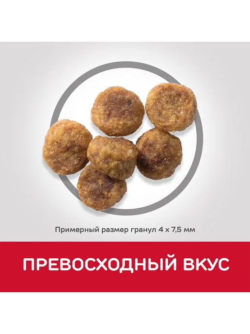 Сухой корм HILL'S Сoбак для собак, мелкие, ягненок, 6 кг, фото 4