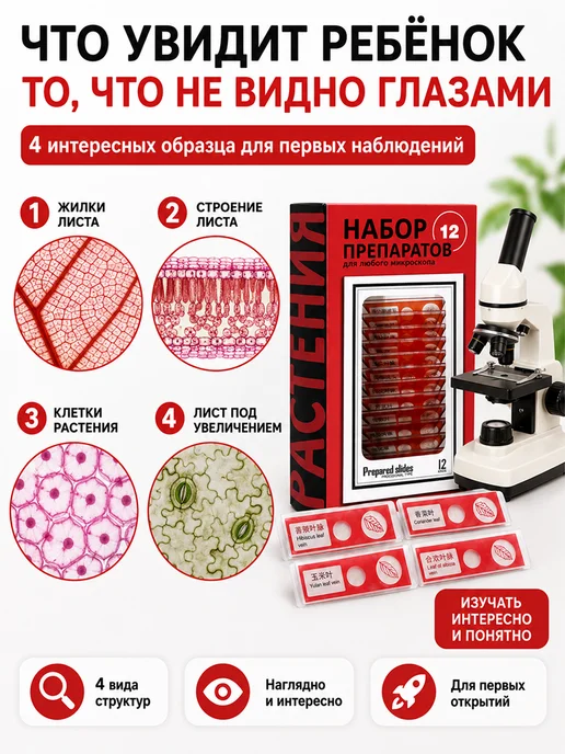 Препараты для микроскопа набор 48 образцов, красный, фото 4