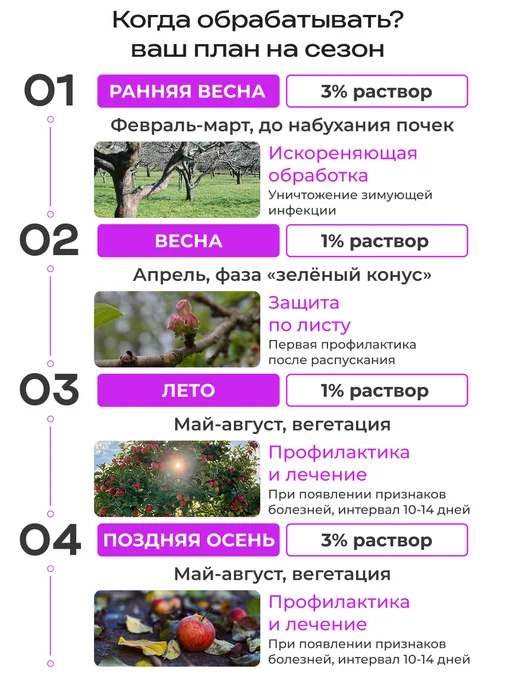 Росток Грин Бордосская жидкость готовая для сада от болезней растений, вариант, фото 5