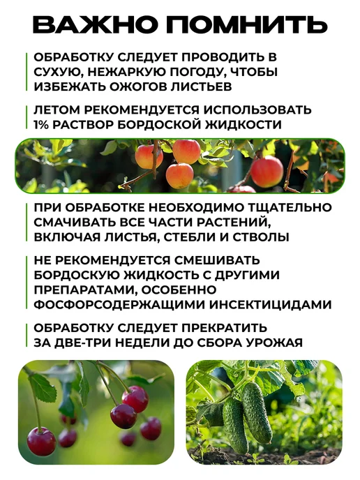 Росток Грин Бордосская жидкость готовая для сада от болезней растений, вариант, фото 7