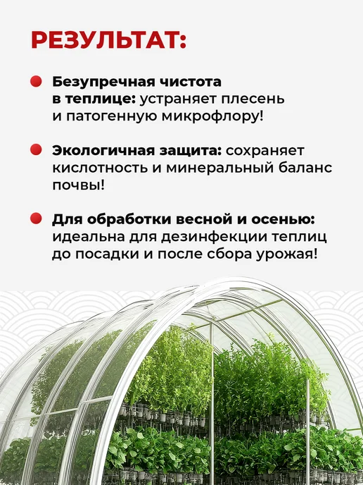 Koyo Набор средств для обработки теплиц от плесени, Средство и грибка теплицы, фото 3