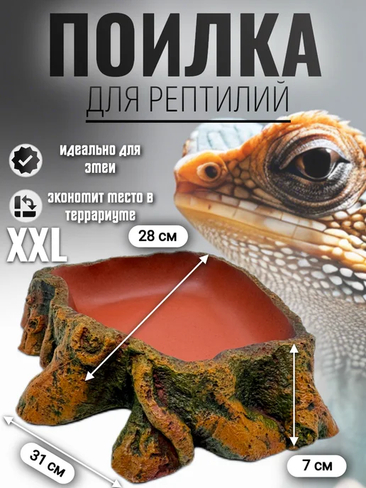 AquaTerra Кормушка-поилка для рептилий большая, зеленый, в упаковке 2,3 кг