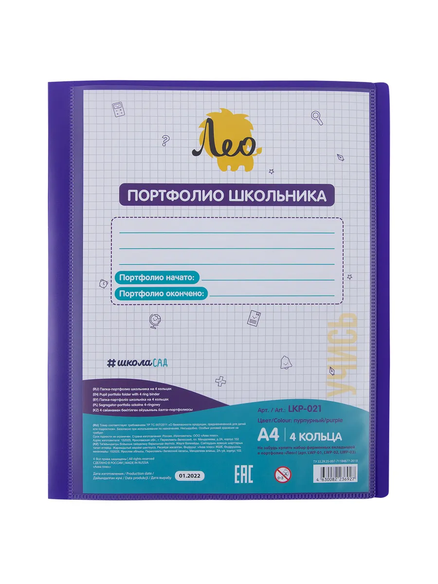 Папка портфолио школьника на 4 кольцах A4