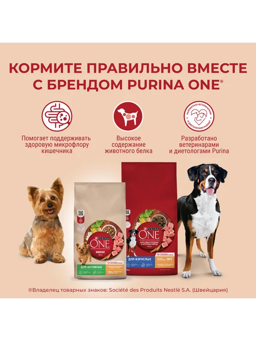 Сухой корм purina One для собак, мелкие, говядина, 0,6 кг, фото 4