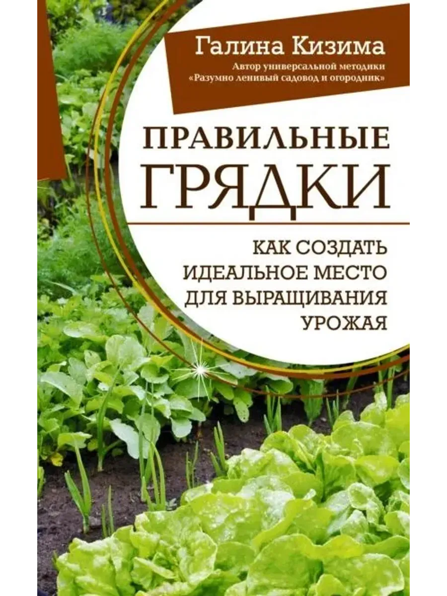 Правильные грядки. Как создать идеальное место для урожая