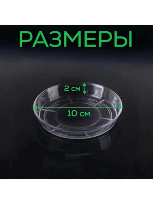 FormeTu-StPlast Поддон для горшка 10 см прозрачный 15 штук, белый, фото 3