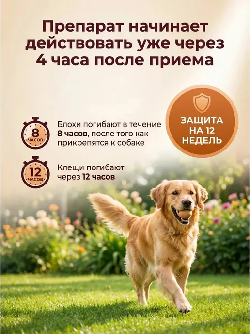 Таблетки для собак 4,5-10 кг от блох и клещей, клон бравекто, 10 кг, фото 2