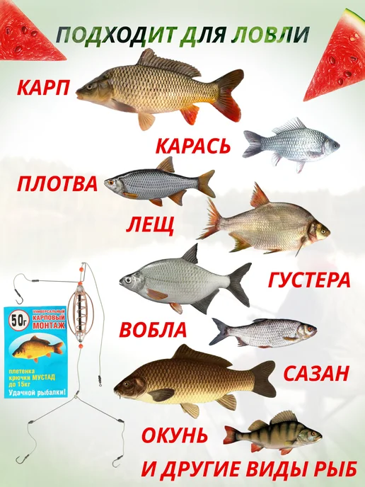 Рыбалка PRO Кормушки рыболовные готовый монтаж на фидер донку, серый, фото 4
