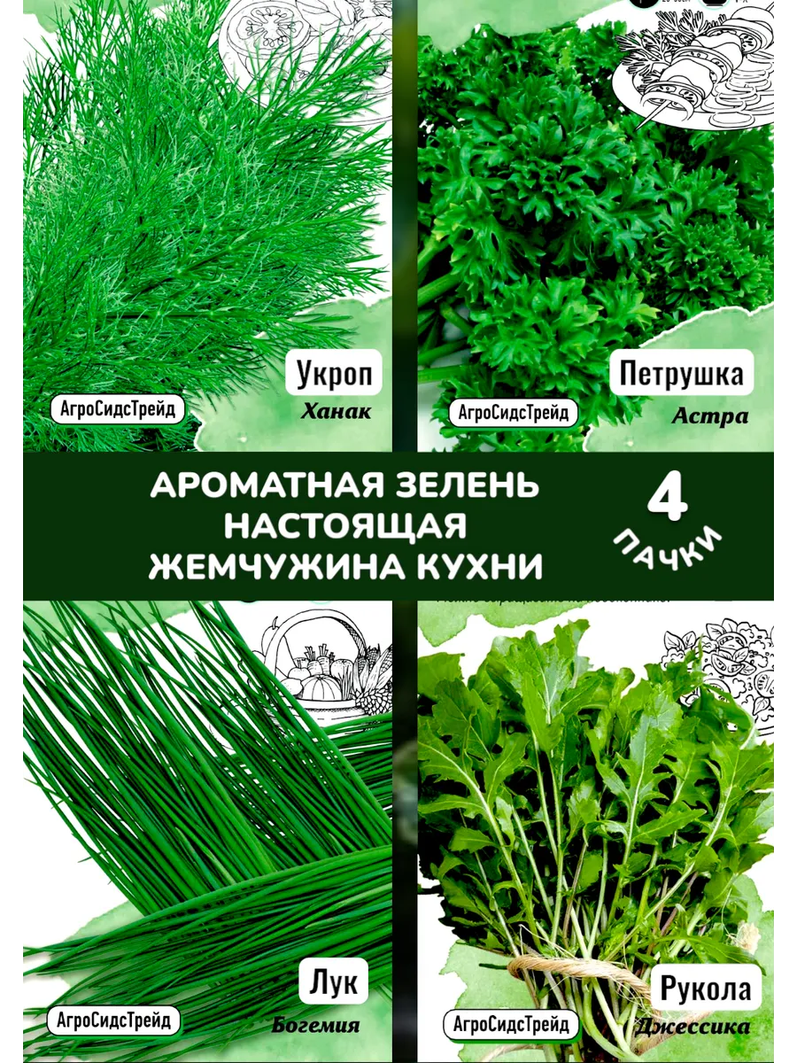 Семена зелени Петрушка+Рукола+Лук+укроп №1