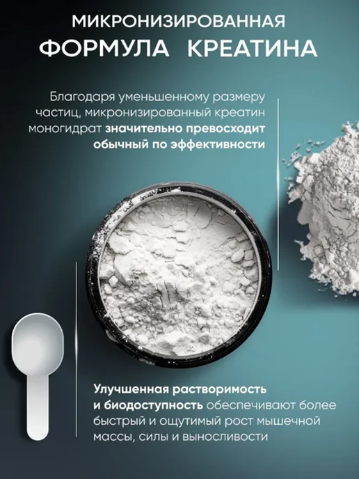 EnterFit Креатин моногидрат порошок микронизированный, вариант, фото 5