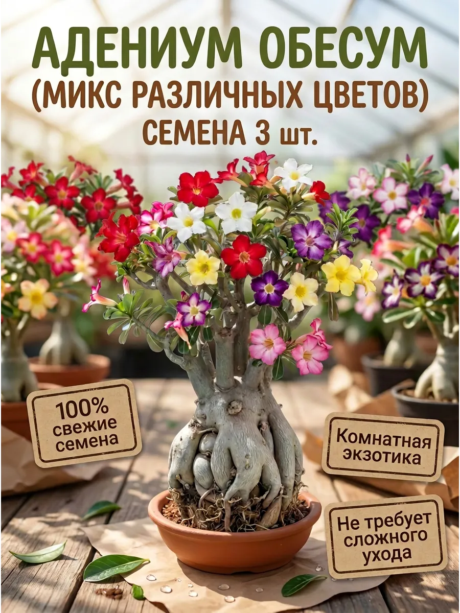 Семена Адениум обесум микс 3 шт