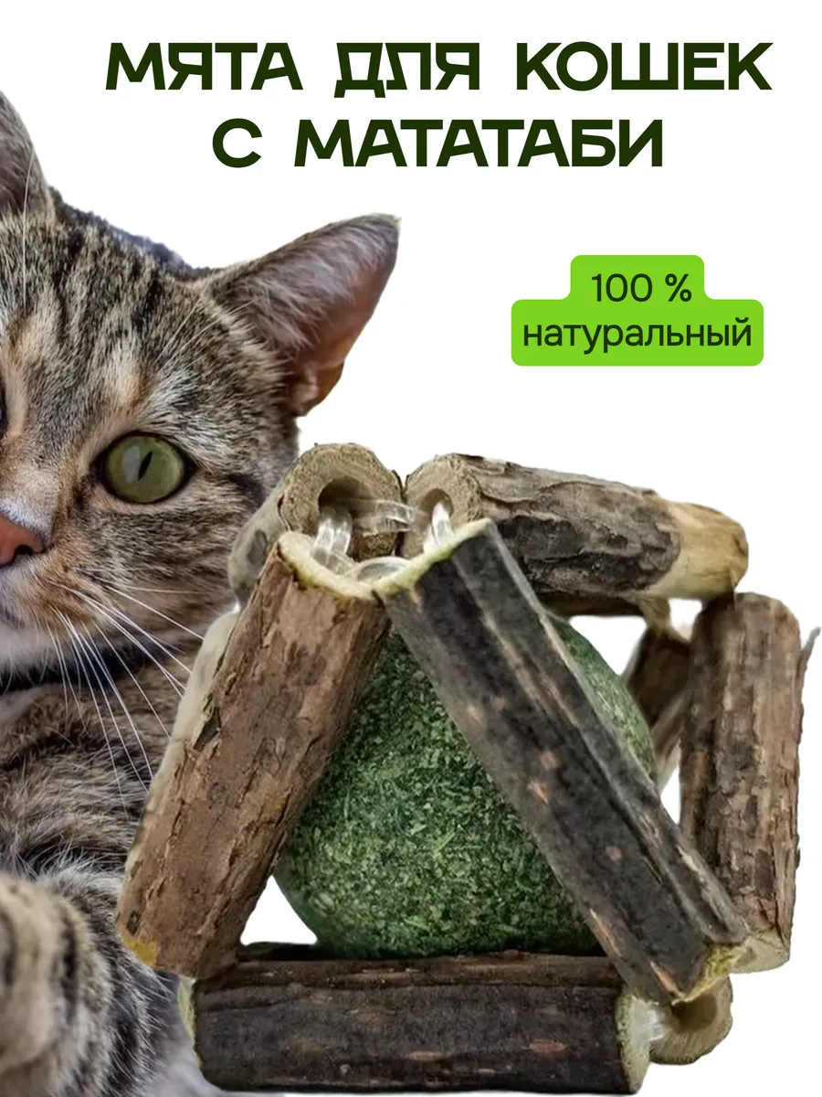 Кошачья мята шарик на стену леденец, мататаби