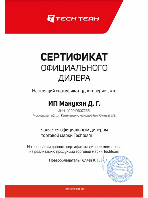 TechTeam Самокат трюковой Zefir Lite V 2 49 raw brushed(2025), серый, фото 2