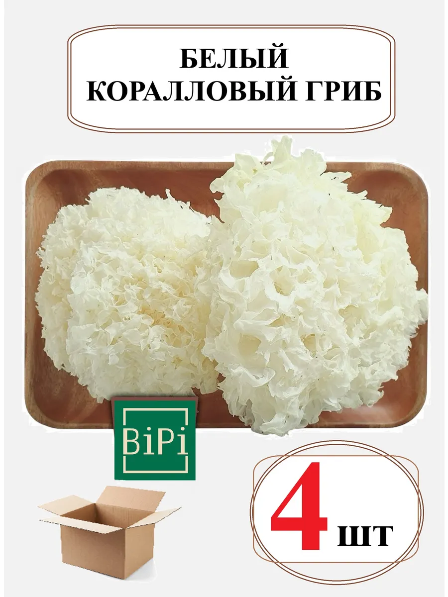 Белый коралловый гриб (древесный, серебряные ушки), 4шт