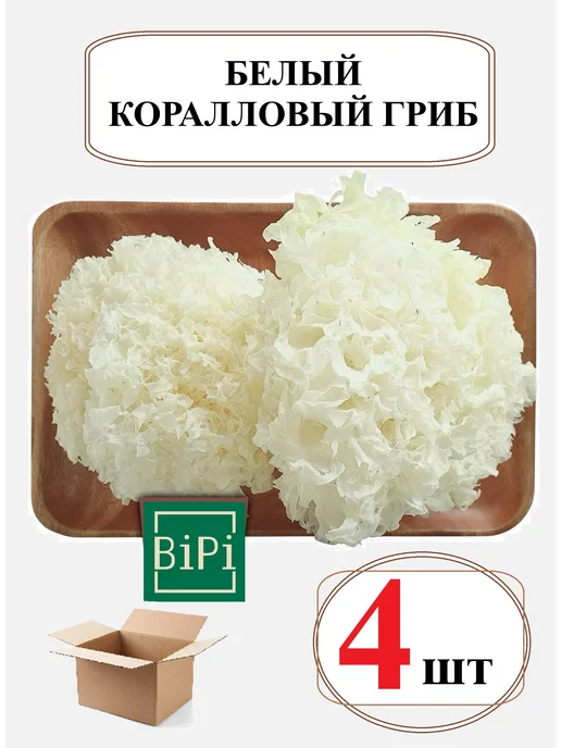Грибы Белый коралловый гриб (древесный, серебряные ушки), 4шт, 4 шт, фото 2