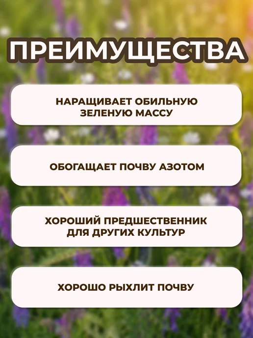 Сидерат Вика яровая 1кг Вика сидерат, 1 кг, фото 2
