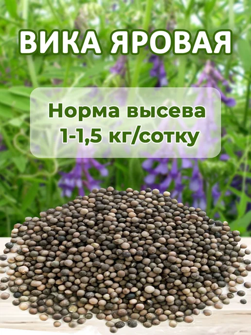 Сидерат Вика яровая 1кг Вика сидерат, 1 кг, фото 3