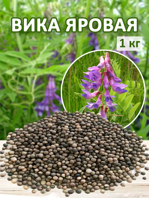 Сидерат Вика яровая 1кг Вика сидерат, 1 кг, фото 4