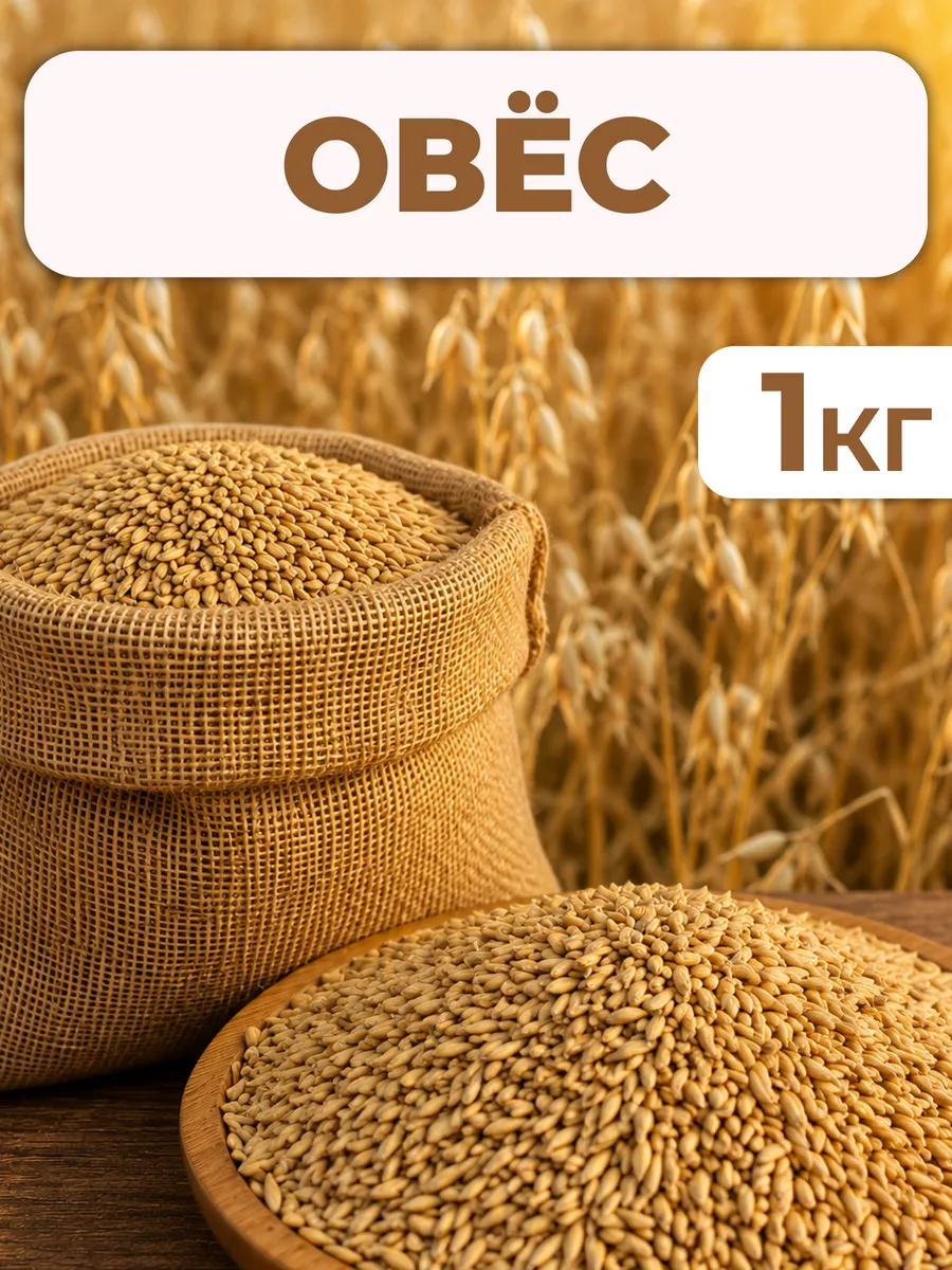 Овес сидерат