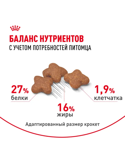 Сухой корм Royal canin для собак, взрослые, мелкие, 4 кг, фото 2
