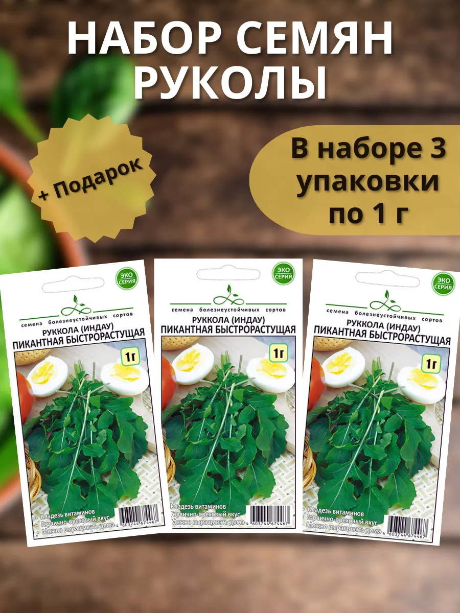 Руккола семена для посадки на подоконник в открытый грунт