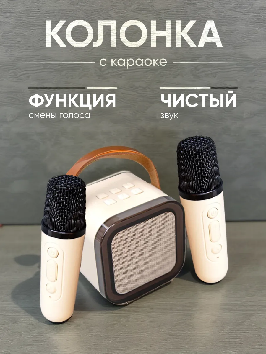 Беспроводная караоке колонка с микрофонами