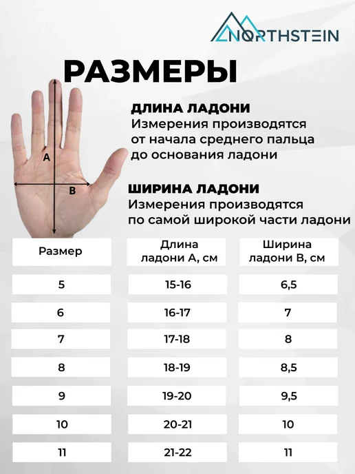 Northstein Вратарские футбольные перчатки Bastion Pro CL4, черный, фото 2