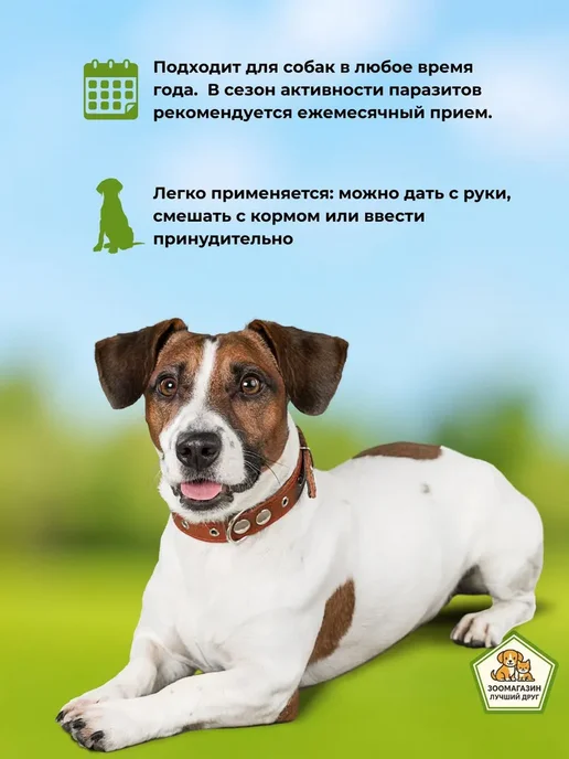 Zoetis Симпарика для собак 40-60 кг 1 Таблетка, 5 кг, фото 3