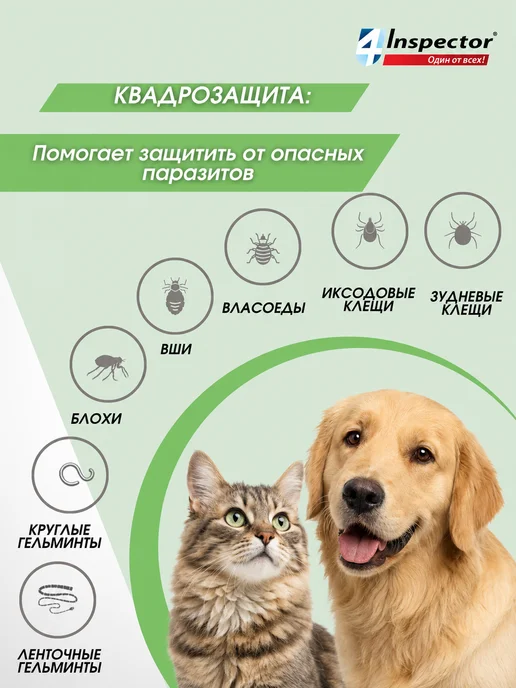 inspector Инспектор QUADRO I402 таблетки для собак и кошек 2-8 кг, 28 кг, фото 3