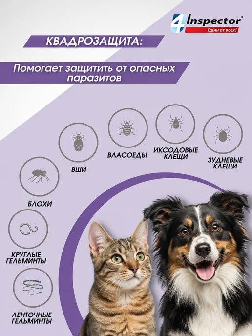 inspector Инспектор QUADRO I403 таблетки для собак 8-16 кг, 816 кг, фото 3