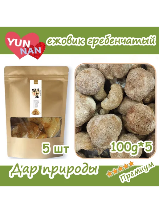 YOUKI FOREVER ежовик гребенчатый 100 г*5, 100 г