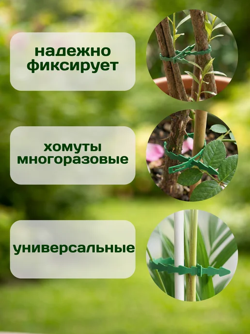 Love2Ann Опоры для растений в саду клипсы для томатов и огурцов 200, зеленый, фото 2