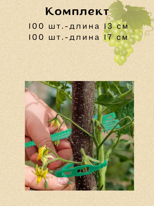 Love2Ann Опоры для растений в саду клипсы для томатов и огурцов 200, зеленый, фото 5