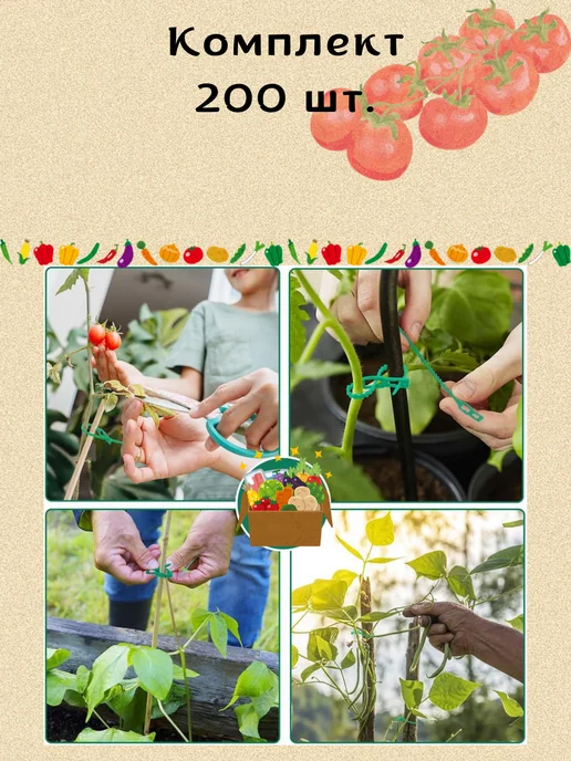 Love2Ann Опоры для растений в саду клипсы для томатов и огурцов 200, зеленый, фото 6