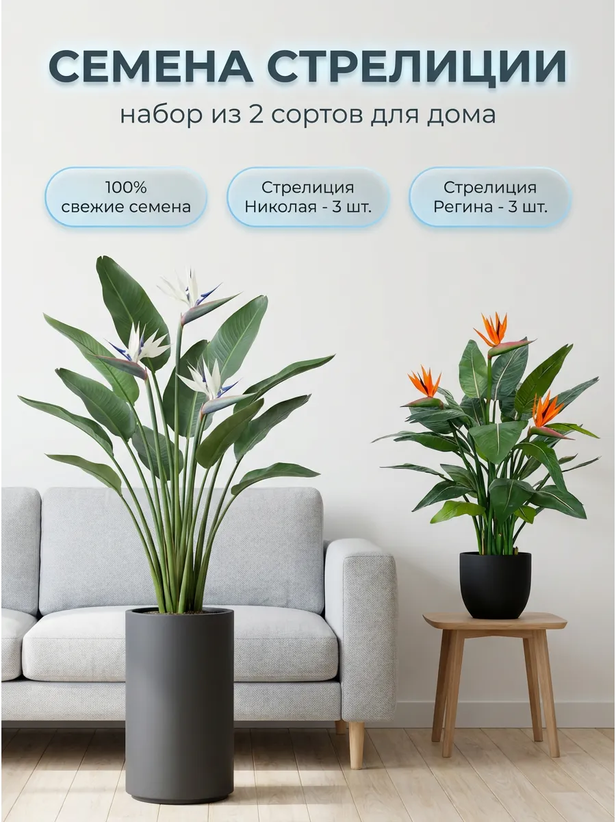 Семена Стрелиция Королевская и Николая комнатные цветы 6шт.