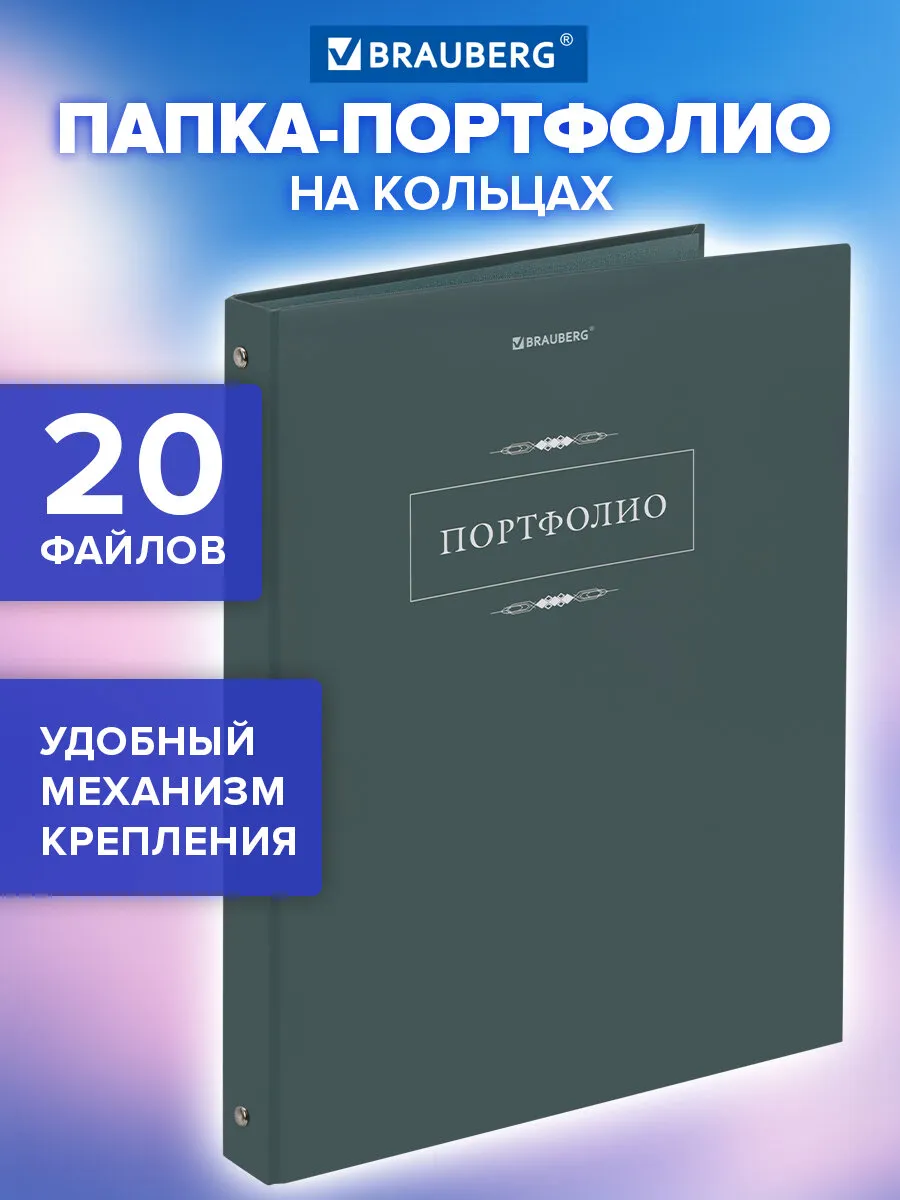 Портфолио школьника, папка А4 на кольцах, 20 файлов