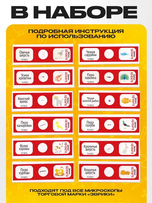 Эврики Набор микропрепаратов для опытов с микроскопом, вариант, фото 2