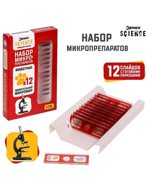 Эврики Набор микропрепаратов для опытов с микроскопом, вариант, фото 5