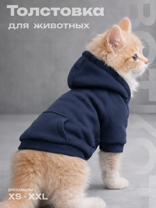 ВОТКОТ Толстовка для кошек и котов худи, синий, фото 2