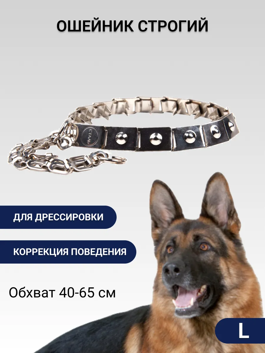 Строгий ошейник для дрессировки