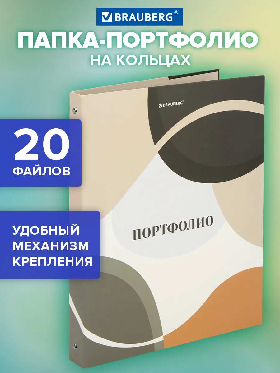 Портфолио школьника, папка А4 на кольцах, 20 файлов