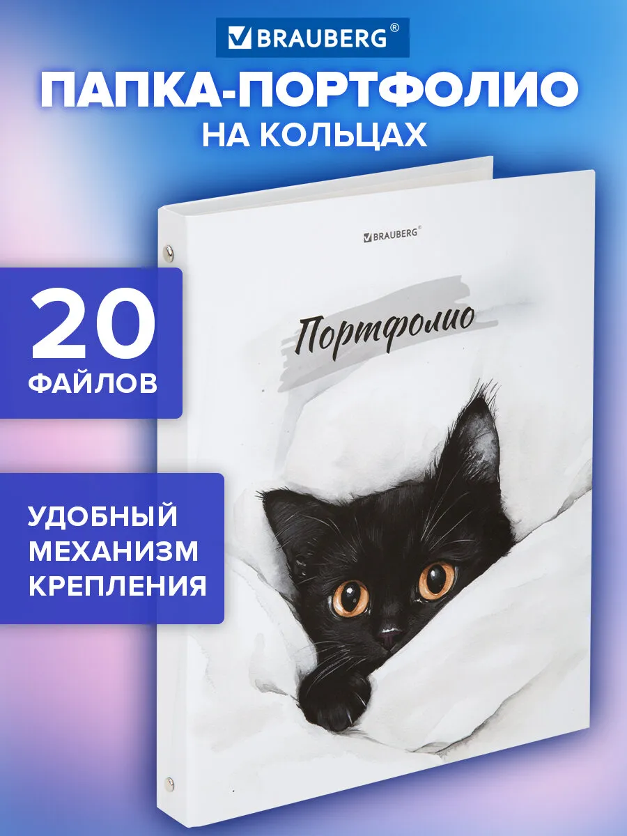 Портфолио школьника, папка А4 на кольцах, 20 файлов