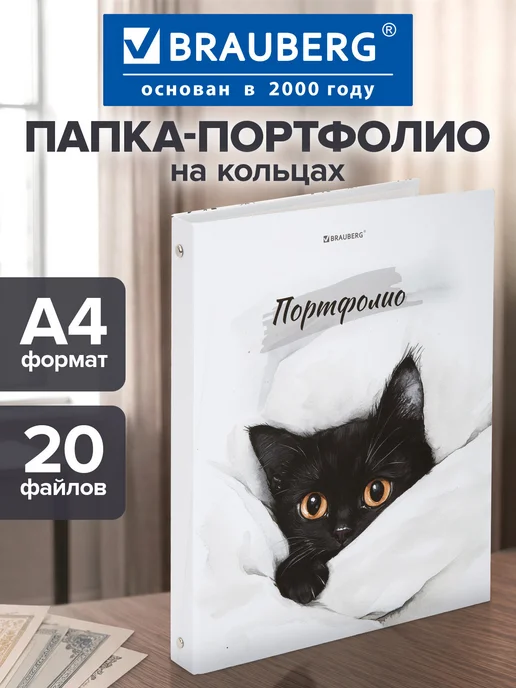 Brauberg Портфолио школьника, папка А4 на кольцах, 20 файлов, вариант