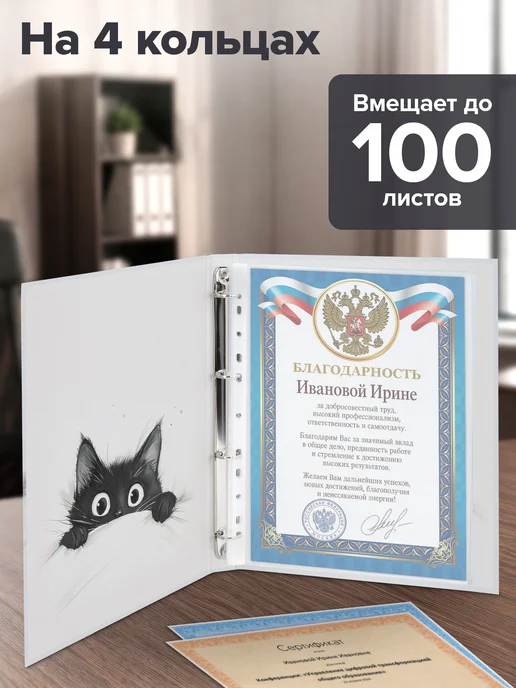 Brauberg Портфолио школьника, папка А4 на кольцах, 20 файлов, вариант, фото 2