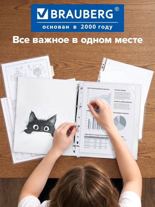 Brauberg Портфолио школьника, папка А4 на кольцах, 20 файлов, вариант, фото 5