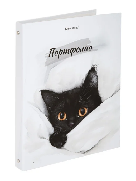 Brauberg Портфолио школьника, папка А4 на кольцах, 20 файлов, вариант, фото 6