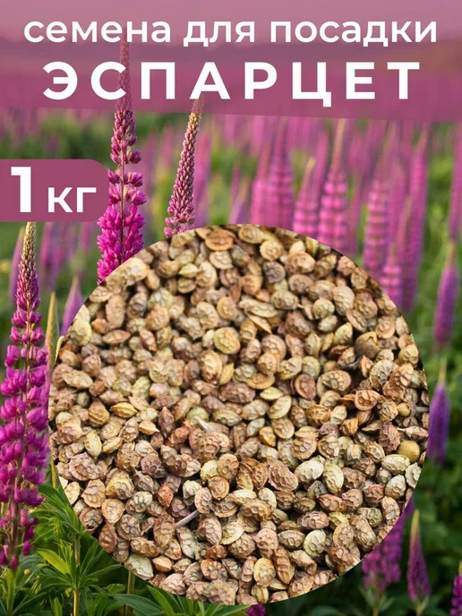 Семена седераты Эспарцета 3 кг, 1 кг