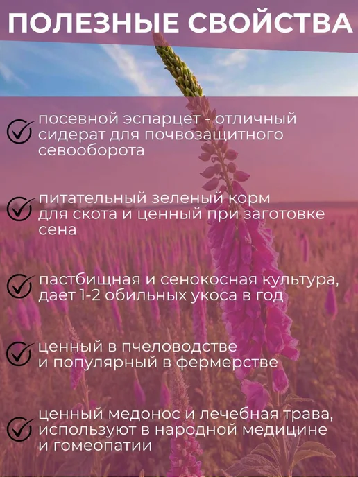 Семена седераты Эспарцета 3 кг, 1 кг, фото 2