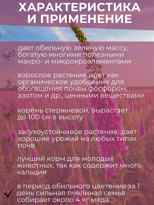 Семена седераты Эспарцета 3 кг, 1 кг, фото 3